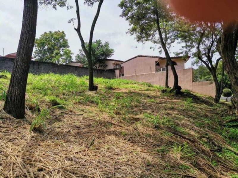 Foto Terreno en Venta en San Rafael, San Rafael, Alajuela - ¢ 104.000.000 - TEV51067 - BienesOnLine