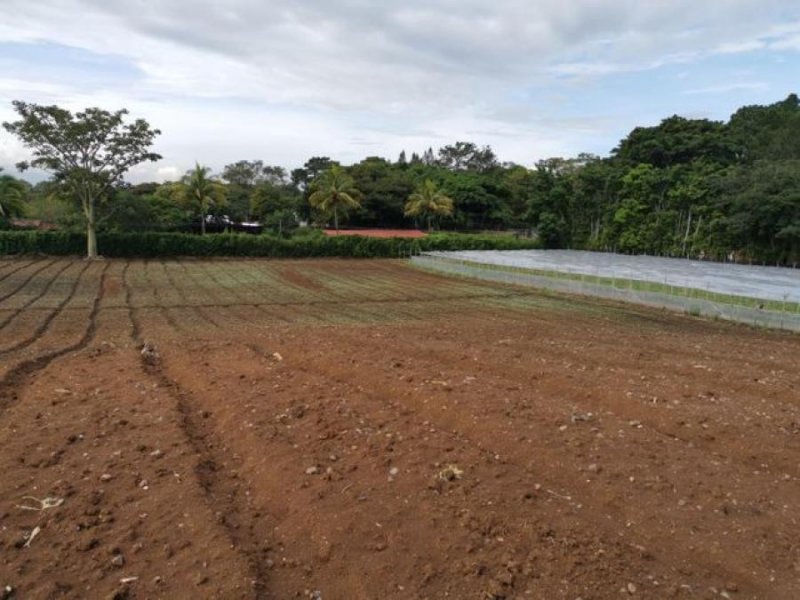 Foto Terreno en Venta en San Rafael, Alajuela - U$D 1.800.000 - TEV72883 - BienesOnLine