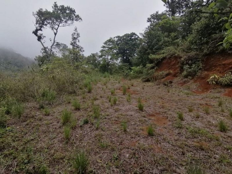 Terreno en Venta en  San Ramón, Alajuela