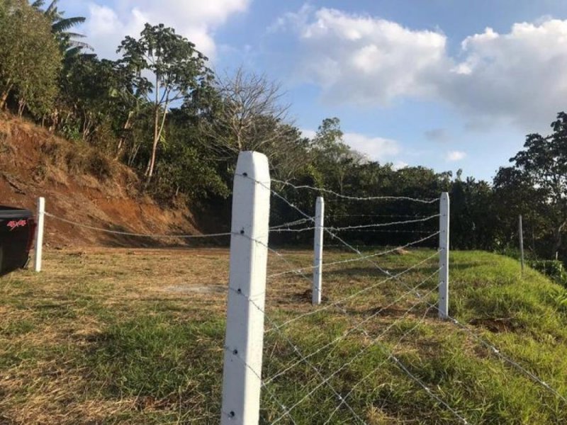 Foto Terreno en Venta en San Ramón, San Ramón, Alajuela - ¢ 26.000.000 - TEV50975 - BienesOnLine