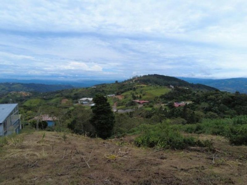 Foto Terreno en Venta en San Ramón, San Ramón, Alajuela - ¢ 100.000.000 - TEV50999 - BienesOnLine