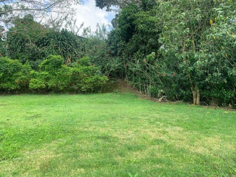 Foto Terreno en Venta en San Ramón, Alajuela - ¢ 26.000.000 - TEV52186 - BienesOnLine