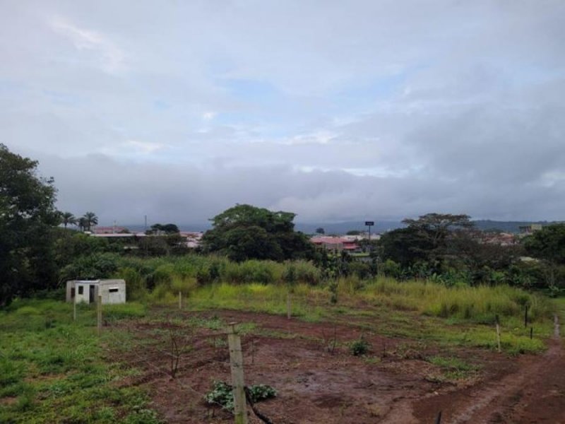 Foto Terreno en Venta en San Ramón, Alajuela - ¢ 107.000.000 - TEV52431 - BienesOnLine