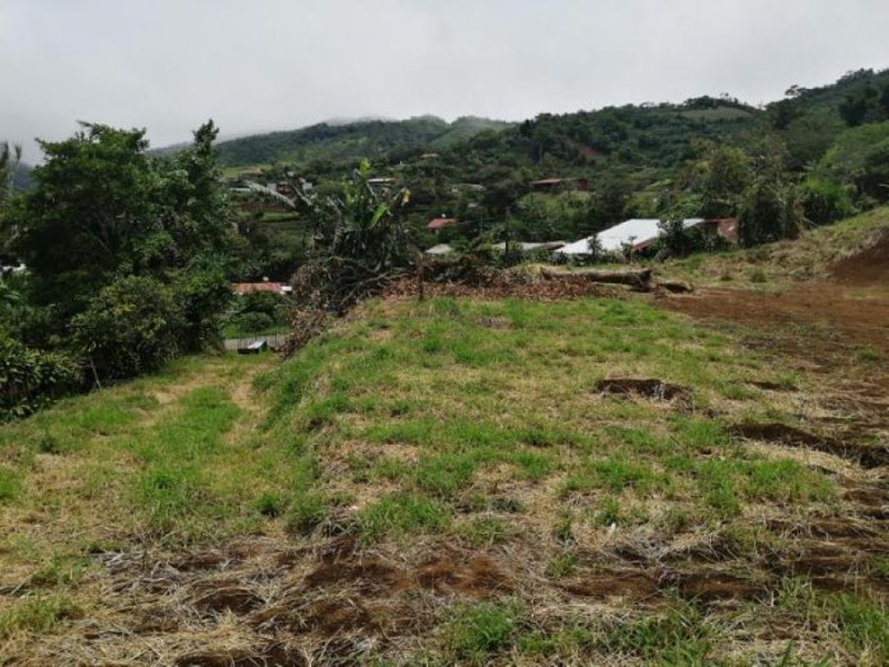 Foto Terreno en Venta en Bajo de la Paz, San Ramón, Alajuela - ¢ 40.000.000 - TEV53368 - BienesOnLine