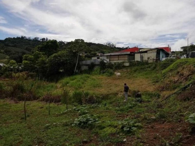 Foto Terreno en Venta en San Ramón, Alajuela - ¢ 72.000.000 - TEV55014 - BienesOnLine