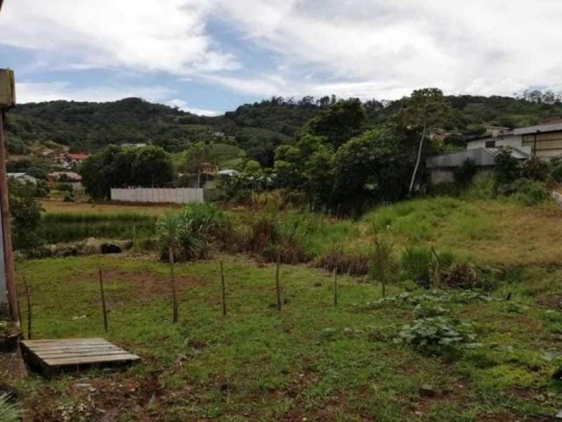 Foto Terreno en Venta en San Ramón, Alajuela - ¢ 71.000.000 - TEV63680 - BienesOnLine