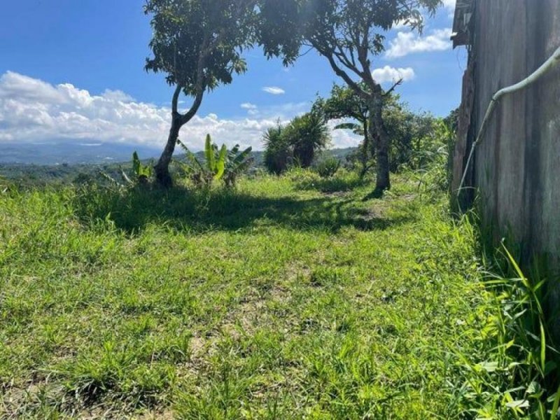 Foto Terreno en Venta en San Ramón, Alajuela - U$D 44.000 - TEV75453 - BienesOnLine