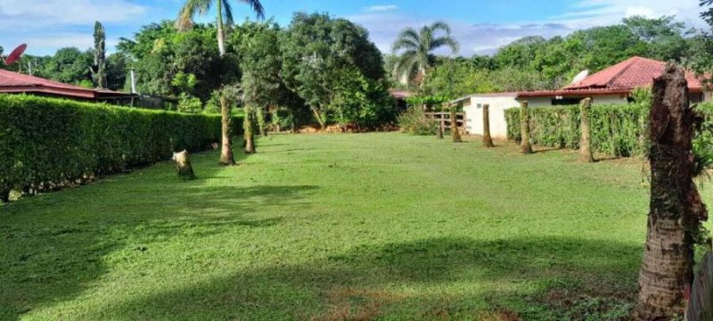 Foto Terreno en Venta en San Ramón, Alajuela - ¢ 16.500.000 - TEV94980 - BienesOnLine