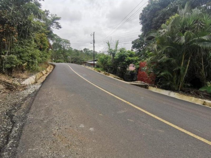 Foto Terreno en Venta en San Ramón, Alajuela - ¢ 32.300.000 - TEV94838 - BienesOnLine