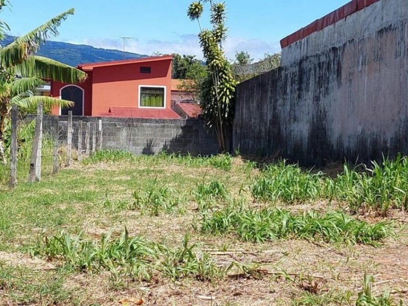 Foto Terreno en Venta en Santa Bárbara, Heredia - ¢ 37.238 - TEV69543 - BienesOnLine