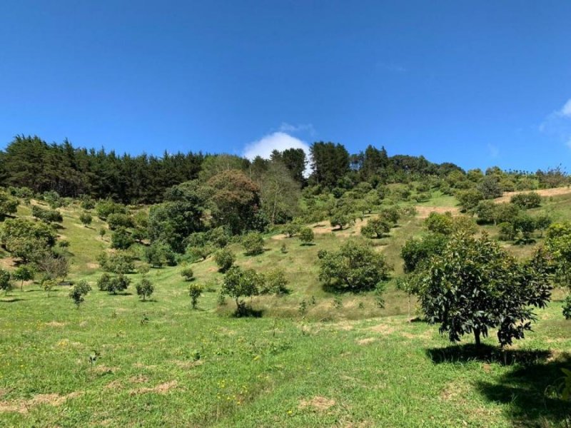 Terreno en Venta en  León Cortes, San José