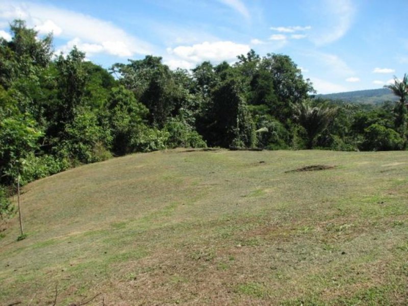 Foto Terreno en Venta en Sarapiquí, Sarapiquí, Alajuela - ¢ 53.000.000 - TEV45858 - BienesOnLine