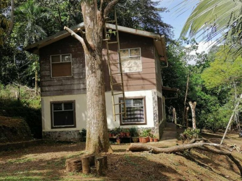 Foto Terreno en Venta en Sarapiquí, Sarapiquí, Heredia - ¢ 65.000.000 - TEV53524 - BienesOnLine