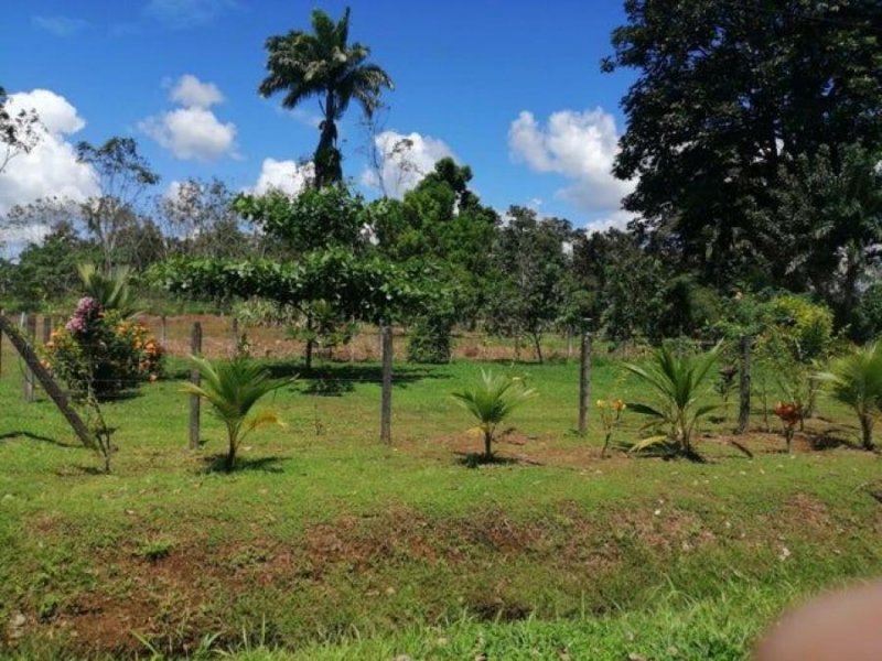 Terreno en Venta en  Sarapiquí, Heredia