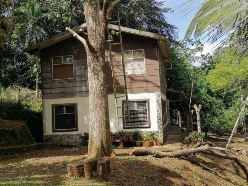 Foto Terreno en Venta en Sarapiquí, Heredia - U$D 37.800 - TEV69854 - BienesOnLine