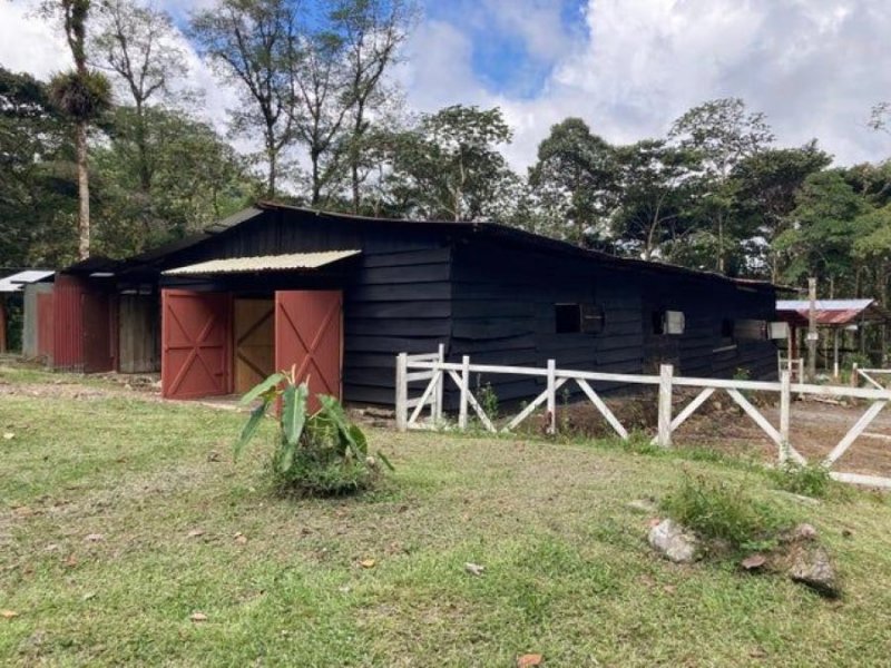 Foto Terreno en Venta en Sarchí, Alajuela, Alajuela - U$D 216.514 - TEV76083 - BienesOnLine