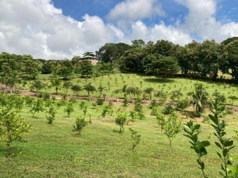 Foto Terreno en Venta en Tarcoles, Puntarenas - U$D 380.000 - TEV60647 - BienesOnLine