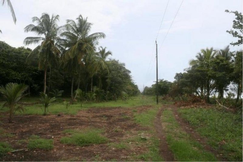 Terreno en Venta en Tortuguero Pococí, Limón