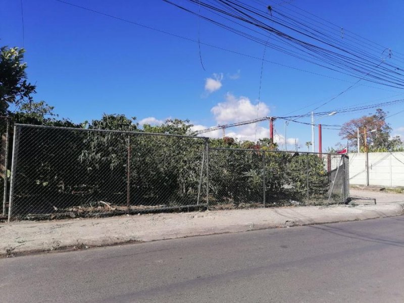 Foto Terreno en Venta en CALLE MESEN, Tres Ríos, Cartago - ¢ 90.000.000 - TEV56834 - BienesOnLine