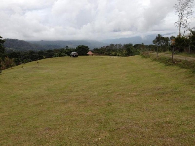 Foto Terreno en Venta en La Campiña, Turrialba, Cartago - ¢ 57.000.000 - TEV48264 - BienesOnLine