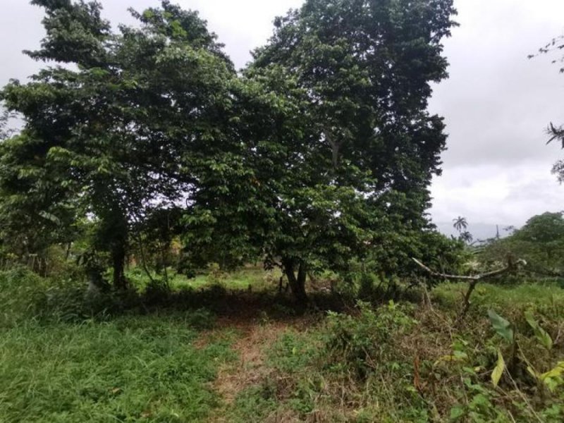 Foto Terreno en Venta en Turrialba, Cartago - U$D 375.500 - TEV58262 - BienesOnLine