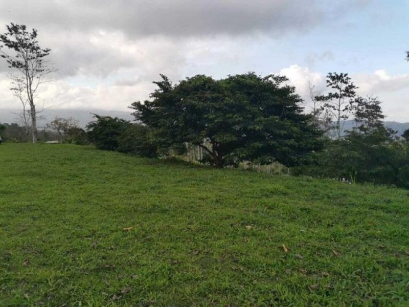 Foto Terreno en Venta en Turrialba, Cartago - U$D 428.000 - TEV63960 - BienesOnLine