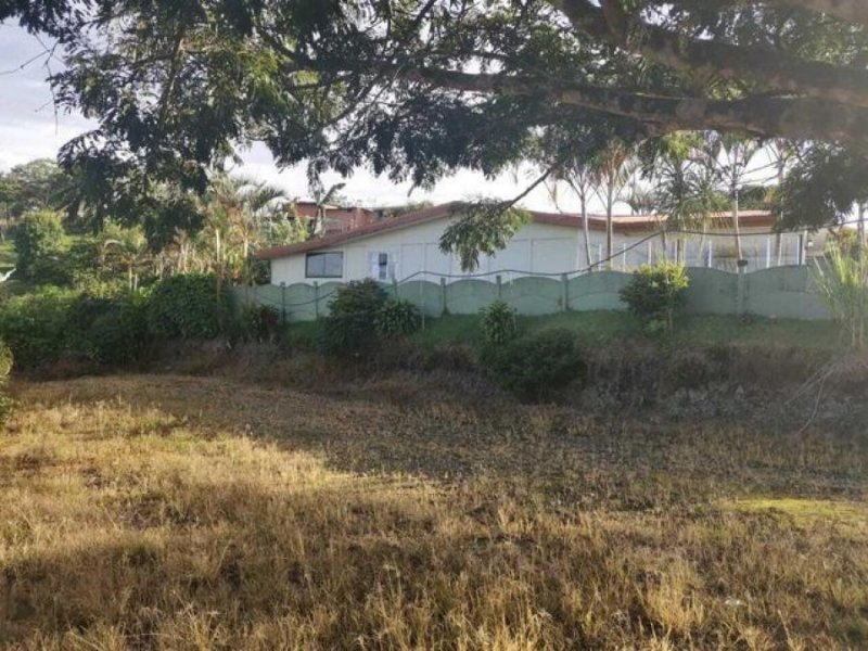 Terreno en Venta en  Turrialba, Cartago