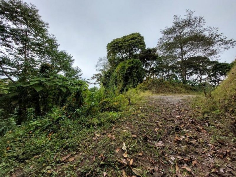 Terreno en Venta en  Vasquez de Coronado, San José