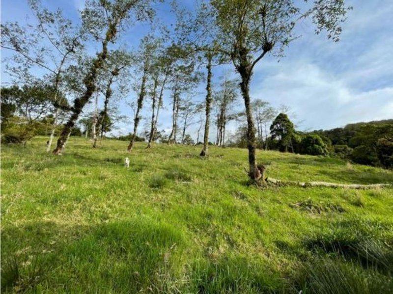 Terreno en Venta en  Varablanca, Heredia