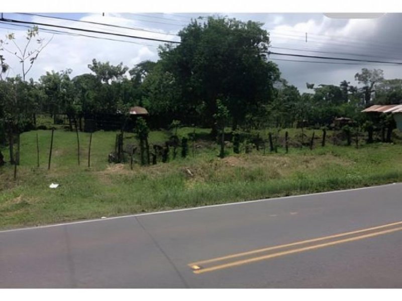 Foto Terreno en Venta en Guápiles, Limón - U$D 1.105.999 - TEV92600 - BienesOnLine