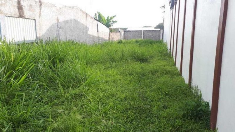 Foto Terreno en Venta en Alajuela, Alajuela - ¢ 38.000.000 - TEV63238 - BienesOnLine