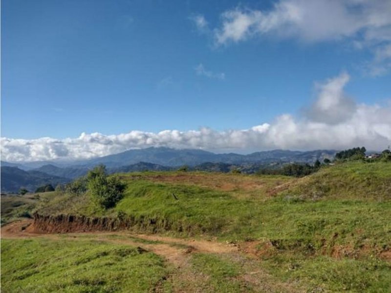 Terreno en Venta en  León Cortes, San José