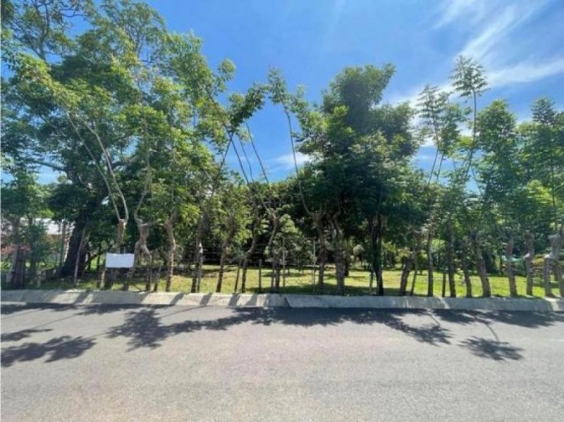 Foto Terreno en Venta en Orotina, Alajuela - ¢ 70.000.000 - TEV91842 - BienesOnLine