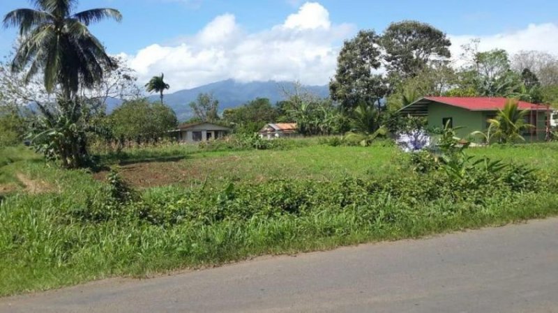 Foto Terreno en Venta en San Carlos, Alajuela - U$D 30.722 - TEV56700 - BienesOnLine