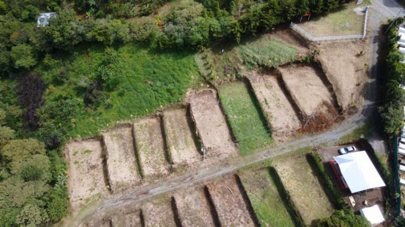 Foto Terreno en Venta en Agua Buena, Aguabuena, Puntarenas - ¢ 4.500.000 - TEV48623 - BienesOnLine