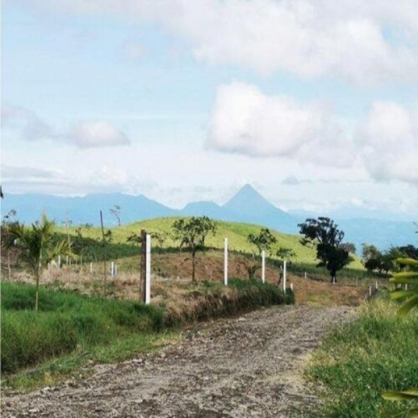 Foto Terreno en Venta en San Carlos, Alajuela - ¢ 39.000.000 - TEV97720 - BienesOnLine