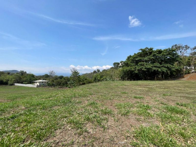 Foto Terreno en Venta en La Granja, Palmares, Palmares, Alajuela - U$D 270.000 - TEV97224 - BienesOnLine