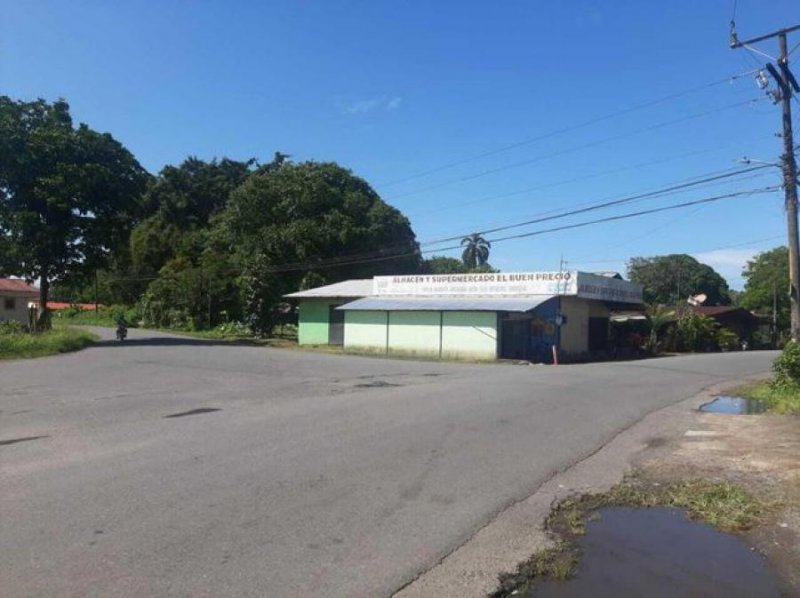 Foto Comercio en Venta en Pococí, Limón - ¢ 123.000.000 - CMV61206 - BienesOnLine