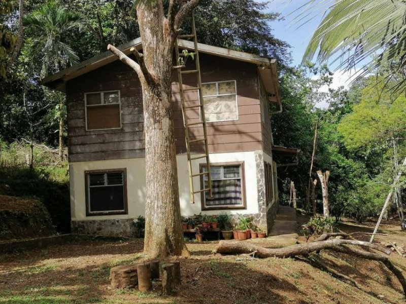 Foto Terreno en Venta en Las Palmitas, La Virgen, Sarapiquí, Heredia - ¢ 26.500.000 - TEV56835 - BienesOnLine