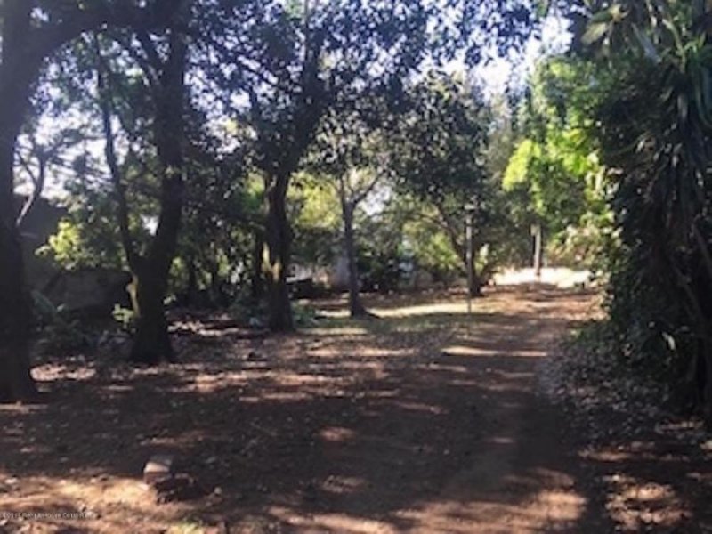 Foto Terreno en Venta en Alajuela, Alajuela - U$D 300.000 - TEV55012 - BienesOnLine