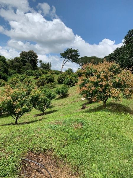 Finca en Venta en  Turrubares, San José