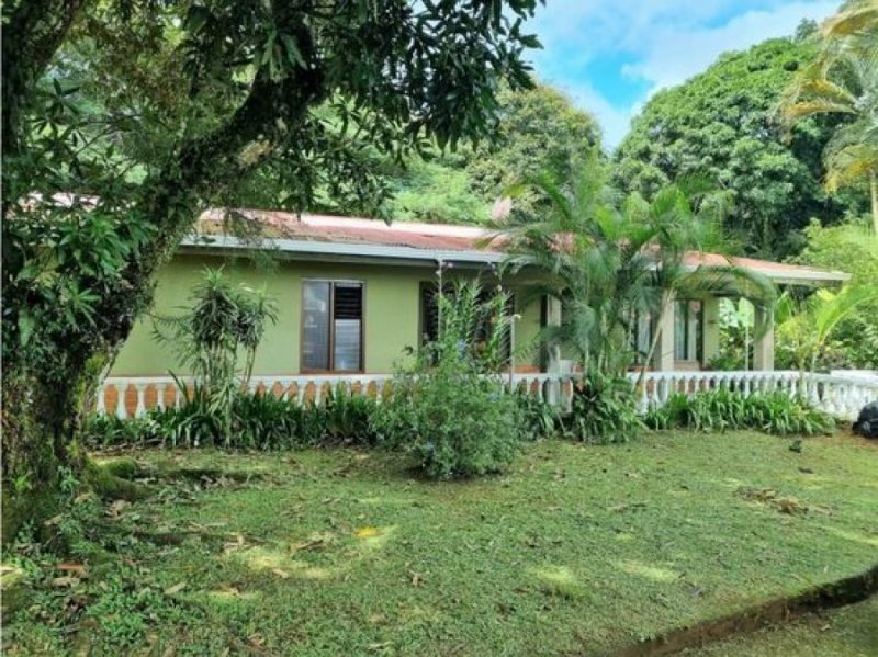 Foto Terreno en Venta en San Carlos, Alajuela - U$D 295.000 - TEV76138 - BienesOnLine