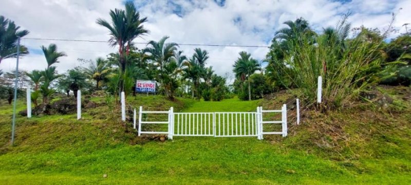 Terreno en Venta en La Alegría Alegria, Limón