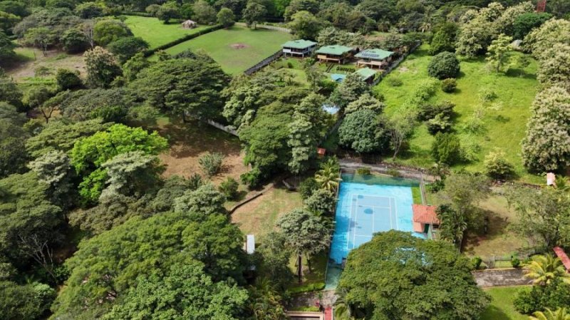 Finca en Venta en  Ceiba, Alajuela