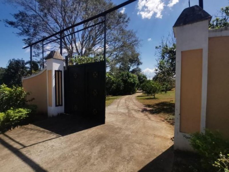 Foto Finca en Venta en San Mateo, Alajuela - U$D 412.500 - FIV60722 - BienesOnLine