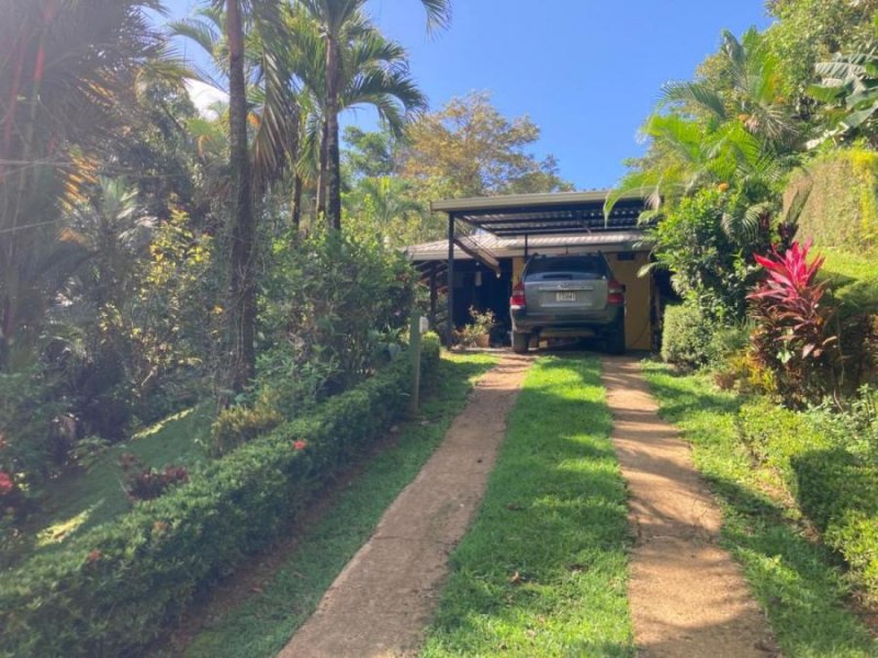 Foto Finca en Venta en Osa, Puntarenas - ¢ 142.800.000 - FIV114235 - BienesOnLine