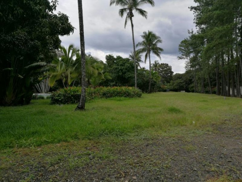 Foto Terreno en Venta en Alajuela, Alajuela - 1 hectareas - U$D 1.250.000 - TEV48420 - BienesOnLine