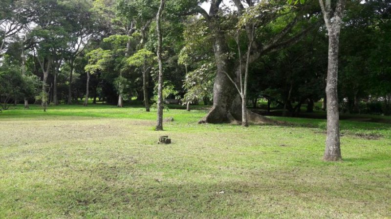 Foto Terreno en Venta en Alajuela, Alajuela - 5 hectareas - U$D 5.600.540 - TEV63074 - BienesOnLine