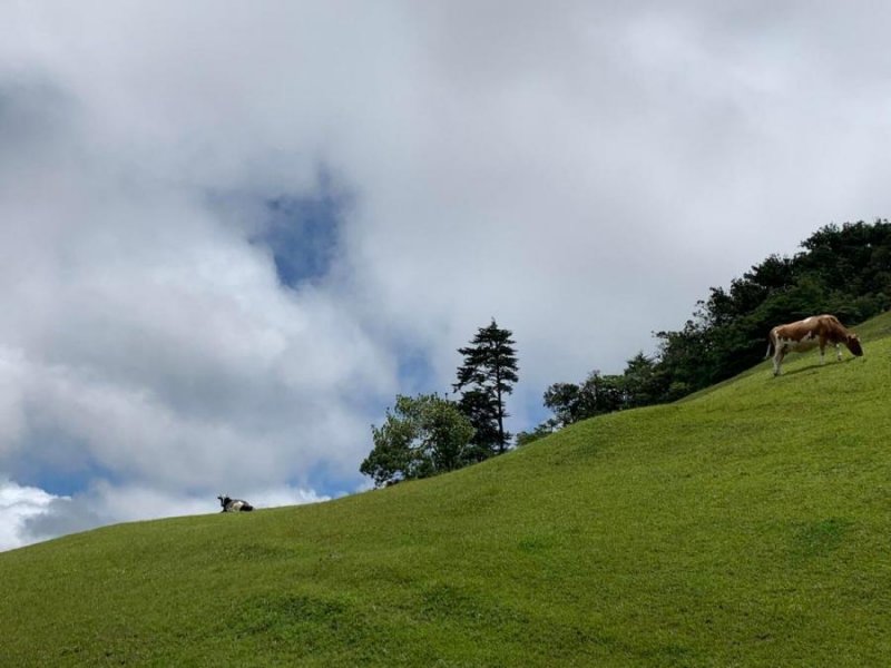 Terreno en Venta en  Cartago, Cartago