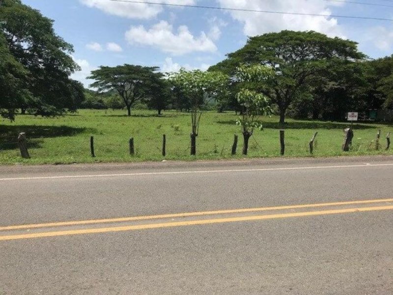 Foto Terreno en Venta en Veintisiete de Abril, Santa Cruz, Guanacaste - ¢ 100.000.000 - TEV67983 - BienesOnLine